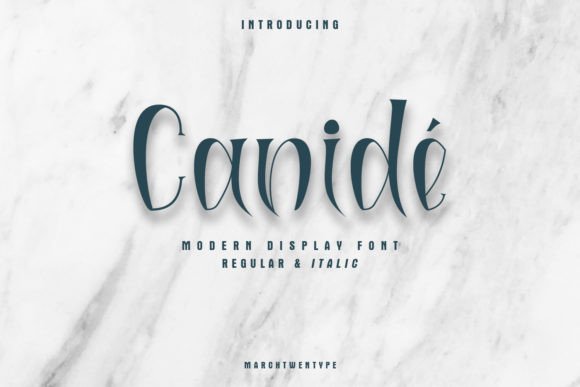 Canidé: A Modern Display Font for Polished Digital Brands
